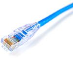 Networking Cable